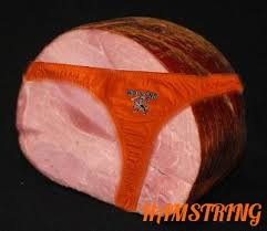hamstring